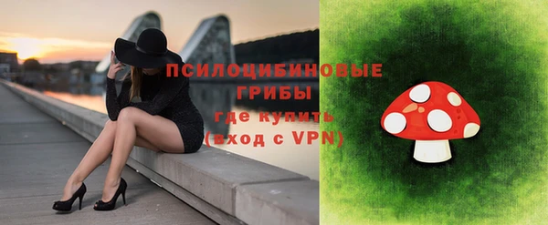 винт Медвежьегорск