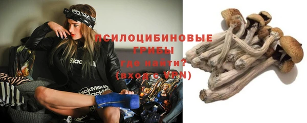 винт Медвежьегорск