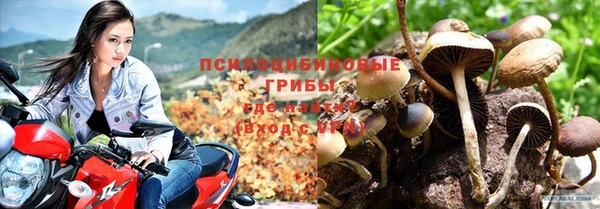 кокс Михайлов